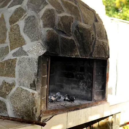 Апартаменты Golden House Золотые Пески